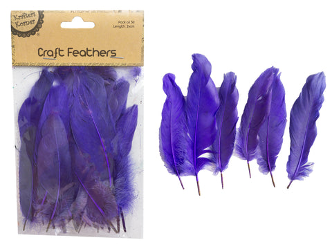 14CM Purple Feathers
