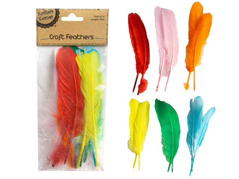 Craft 19CM Feathers Mixed Colours